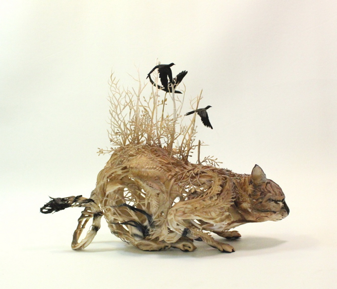 Ellen ewett05.jpg