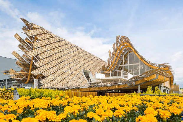 CHINA-EXPO-07.jpg