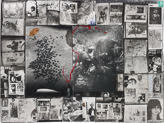 Peter Beard27.jpg