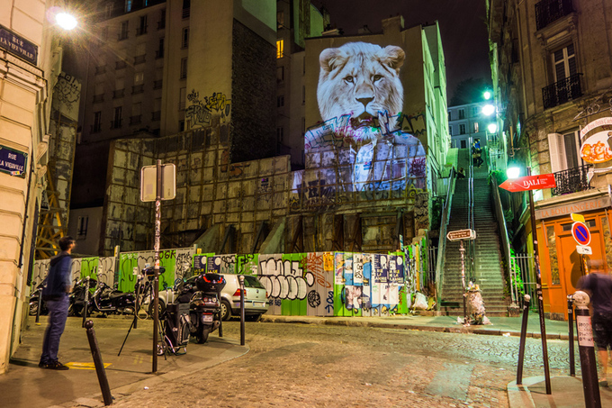 julien-nonnon-urban-safari-hipster-animals-paris-designboom-02.jpg