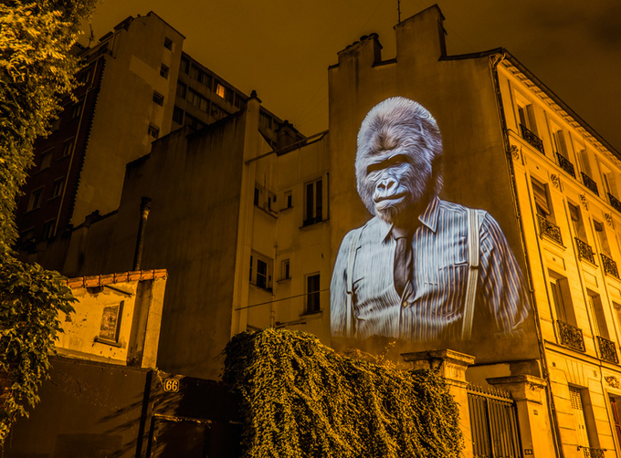 julien-nonnon-urban-safari-hipster-animals-paris-designboom-05.jpg