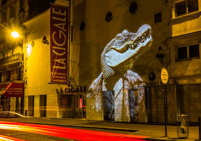 julien-nonnon-urban-safari-hipster-animals-paris-designboom-17.jpg