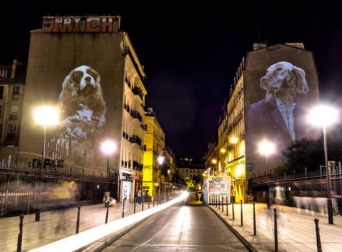 julien-nonnon-urban-safari-hipster-animals-paris-designboom-19.jpg