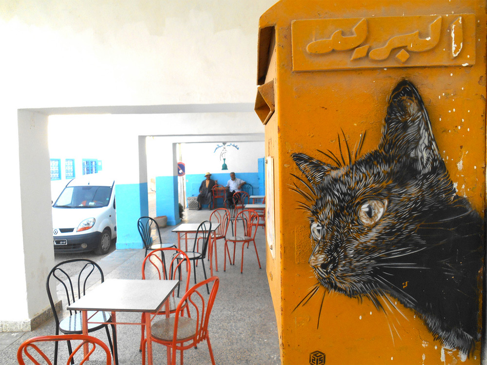 Как настоящие: коты от французского стритарт художника. ФОТО