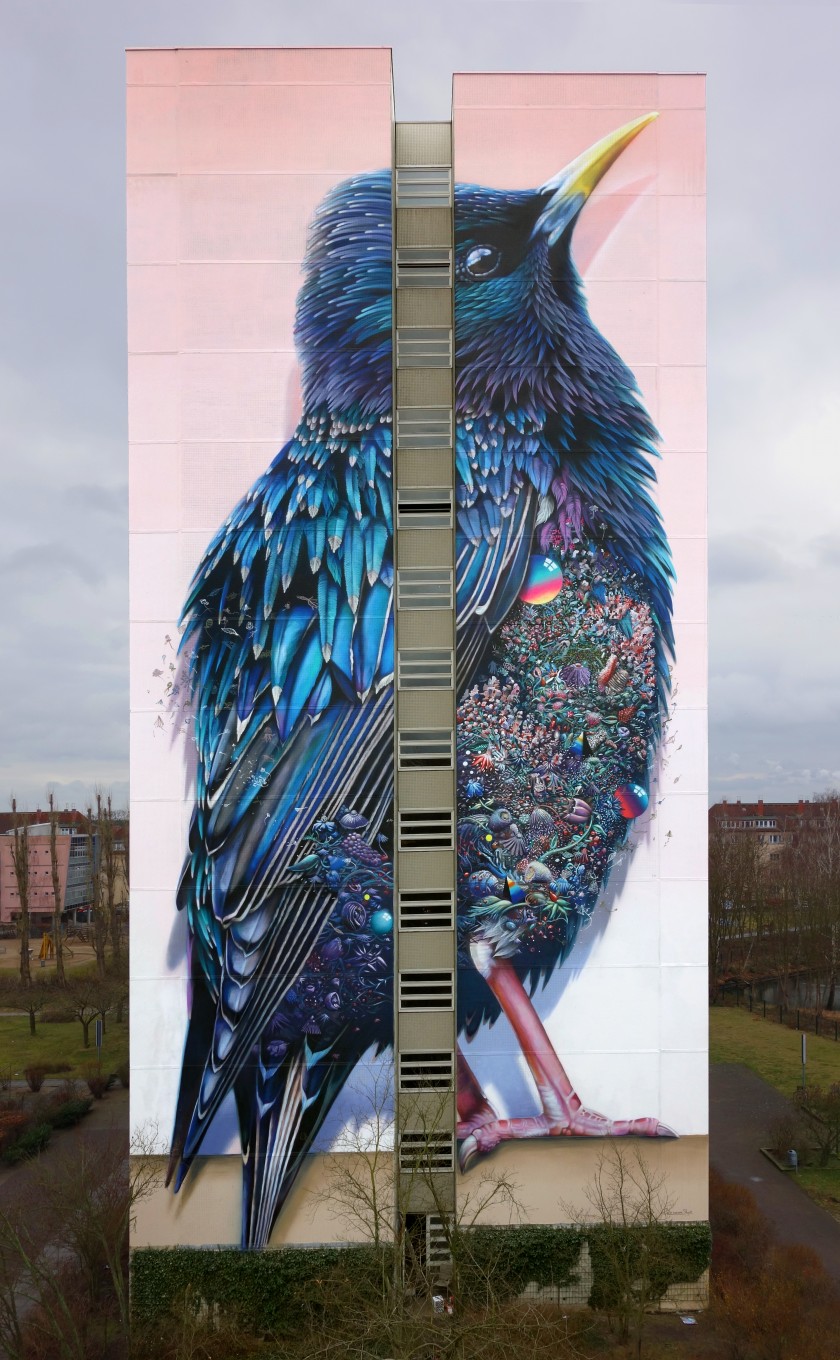 Скворец-великан на одном из зданий Берлина. ФОТО