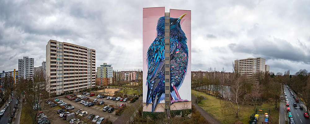 Скворец-великан на одном из зданий Берлина. ФОТО