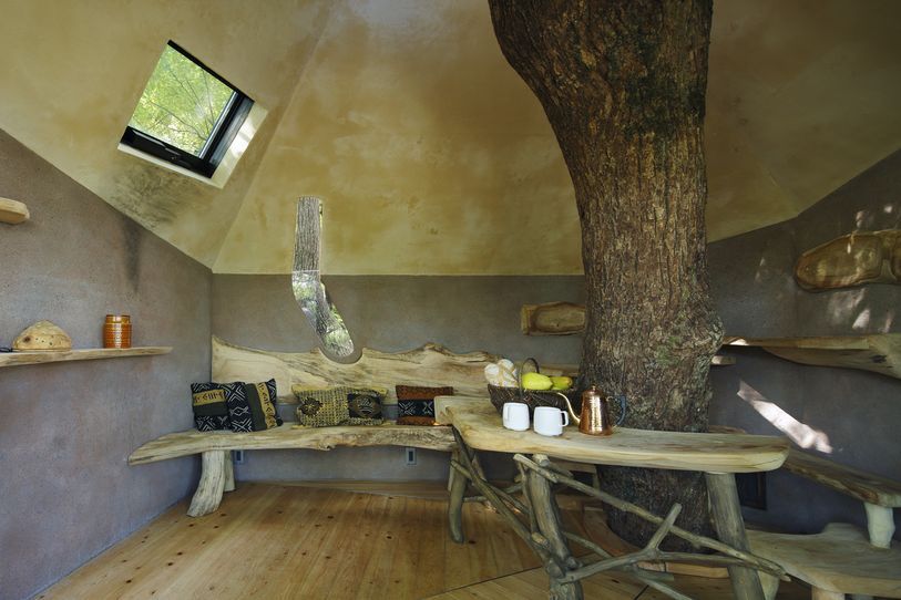 Мечта авантюриста: комната отдыха на 300-летнем дереве Японии. ФОТО