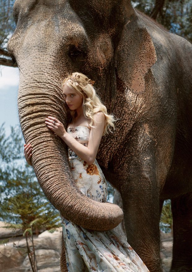 Красота слонов в \"голливудской\" фотосессии стильного фотографа. ФОТО 