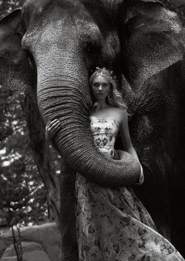 Красота слонов в \"голливудской\" фотосессии стильного фотографа. ФОТО 
