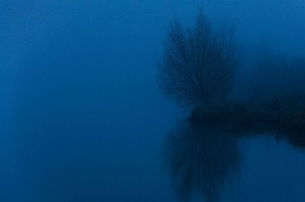 туман на озере вайрепо