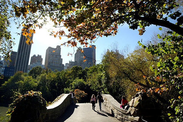 http://www.etoday.ru/uploads/2010/01/18/new_york_manhattan_central_park.jpg